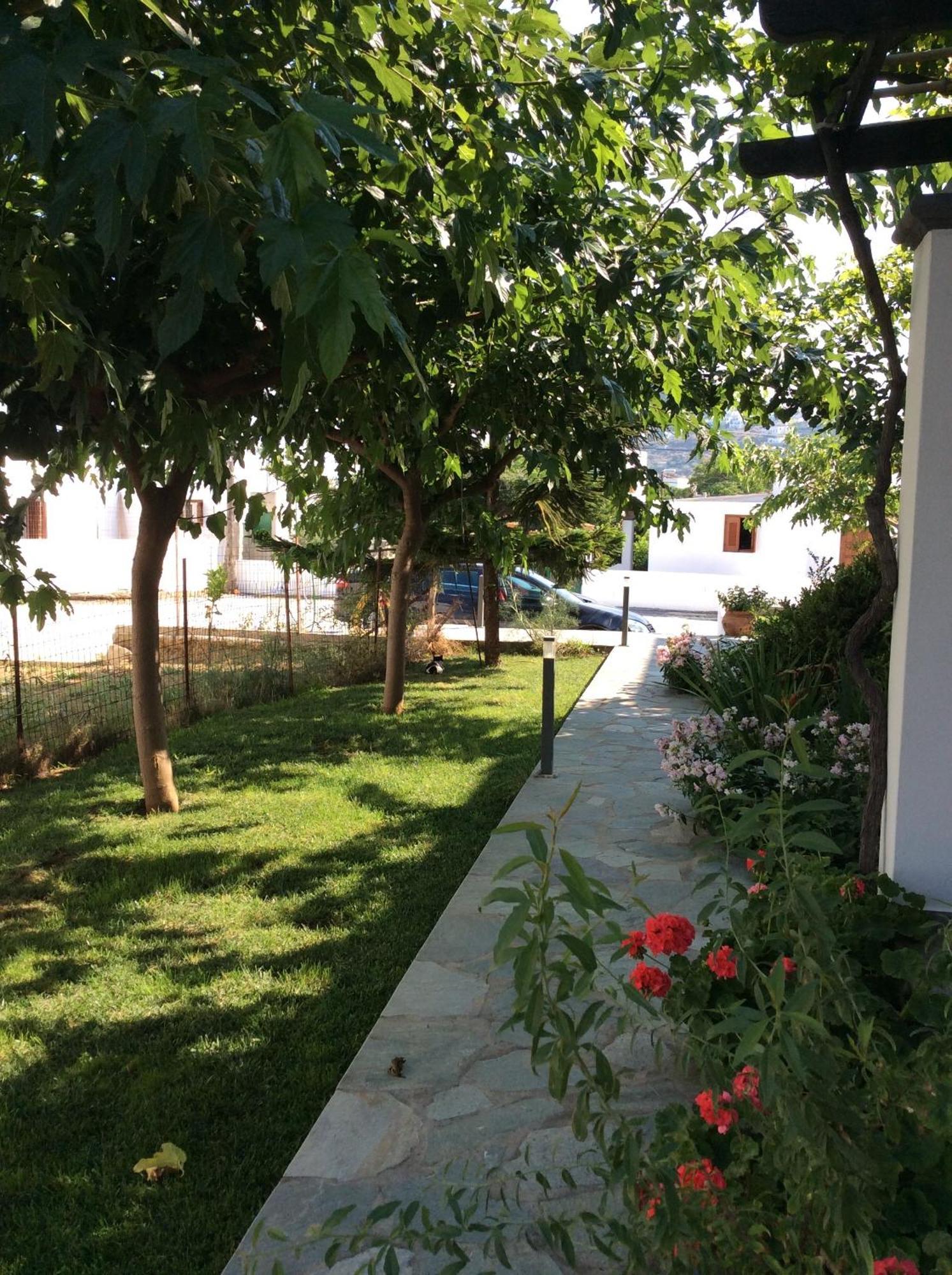 Eleana Studios Skyros Habitación foto