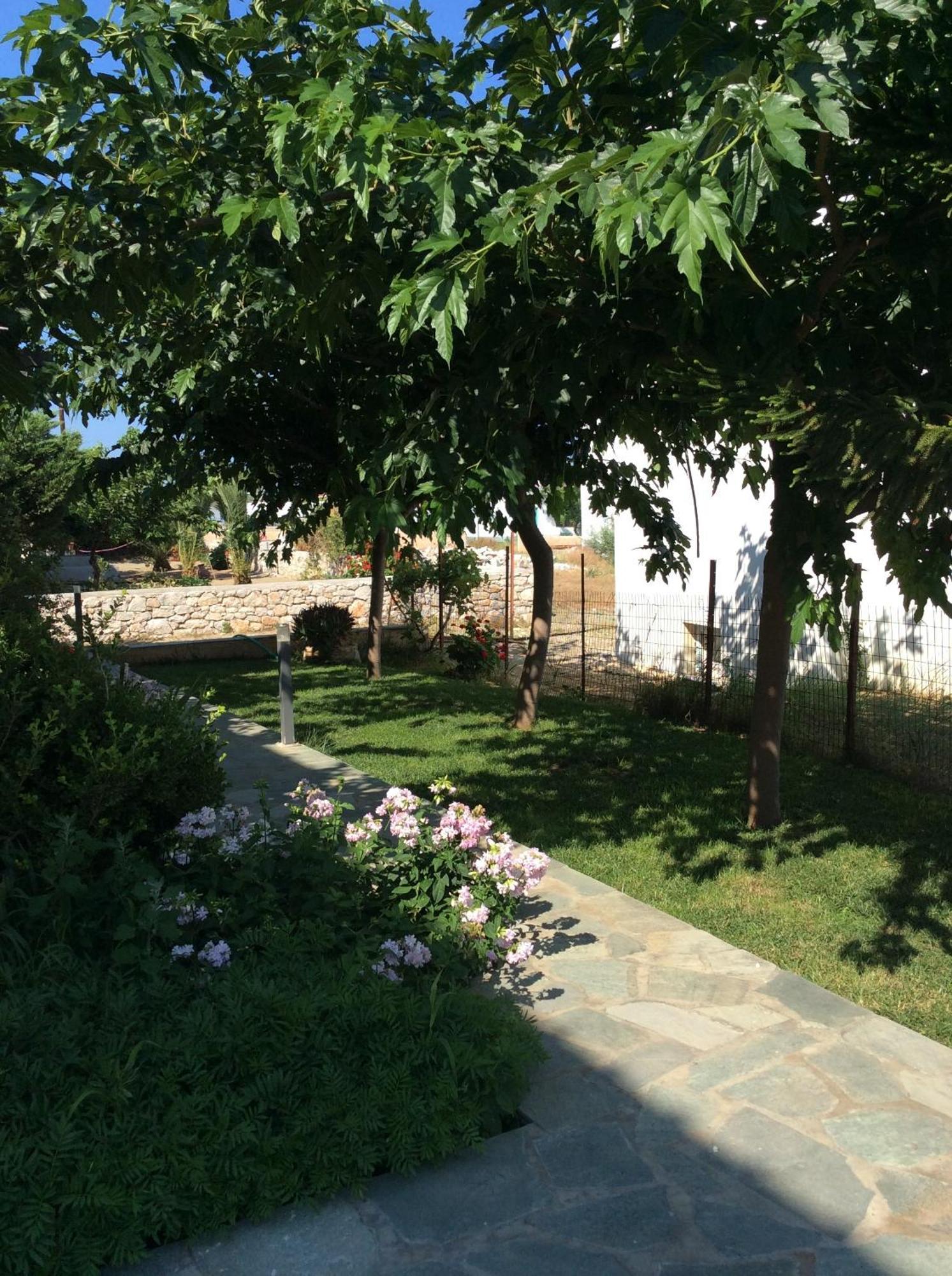 Eleana Studios Skyros Exterior foto