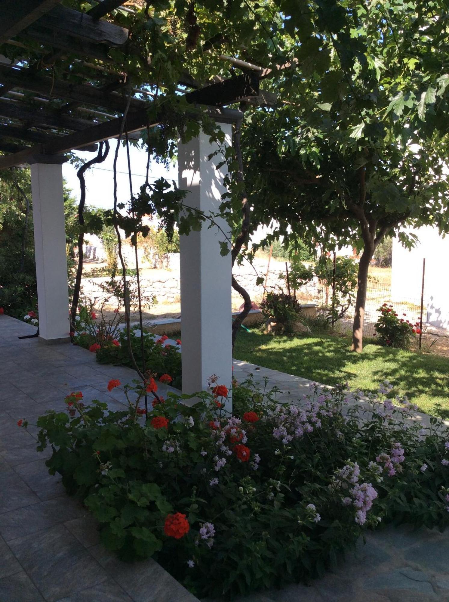 Eleana Studios Skyros Exterior foto